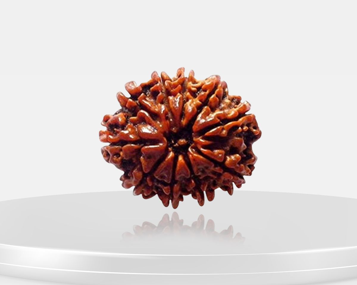 10 Mukhi