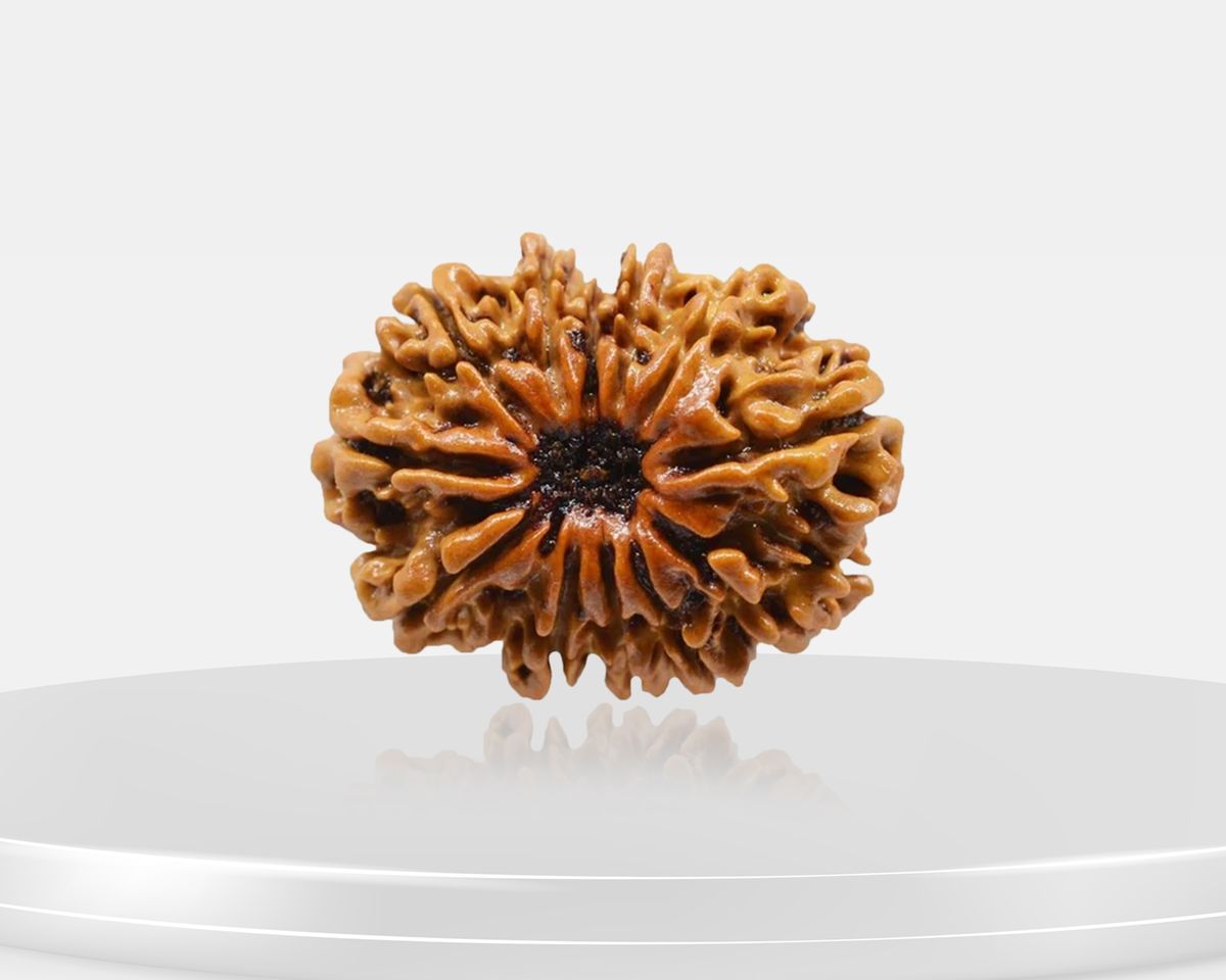 12 Mukhi