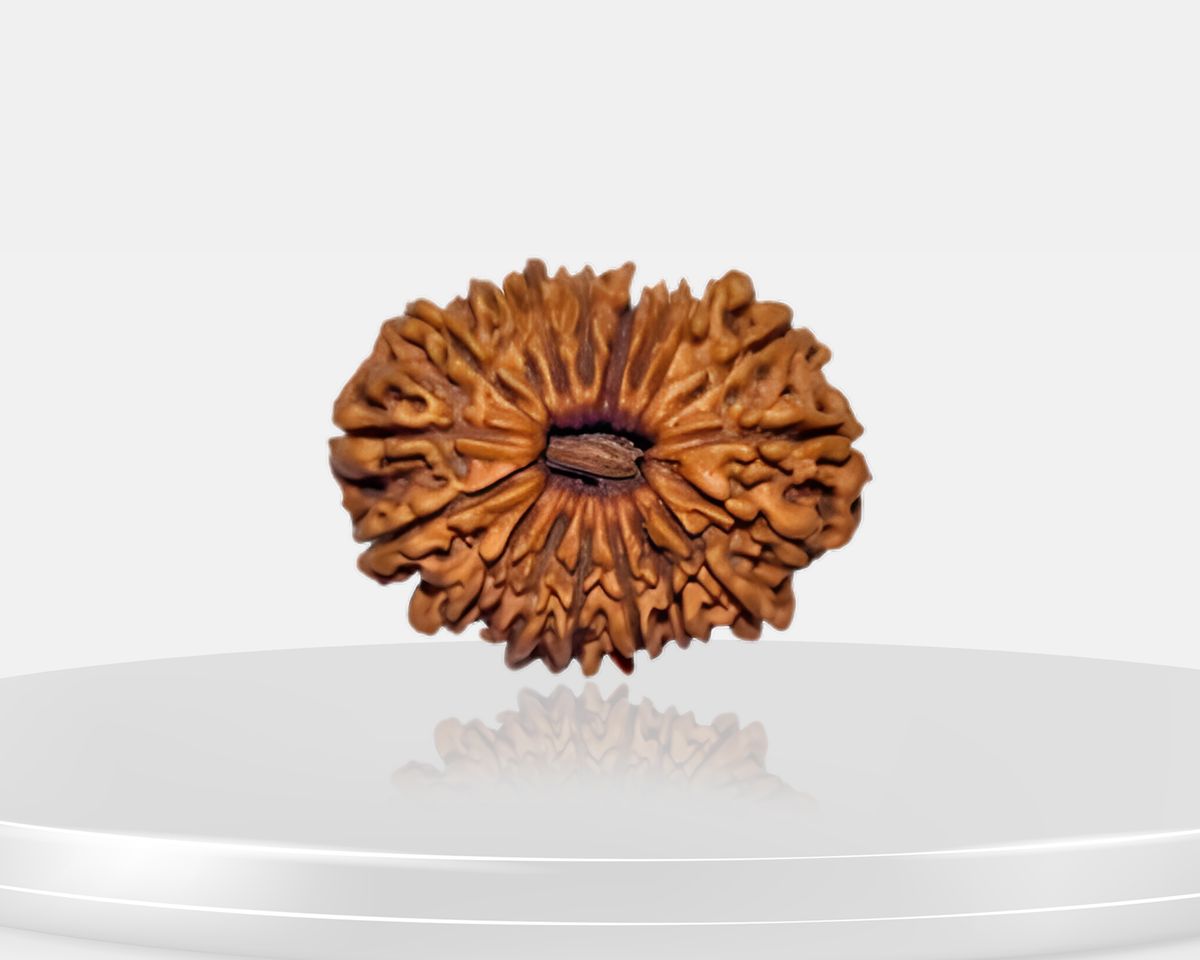 18 Mukhi