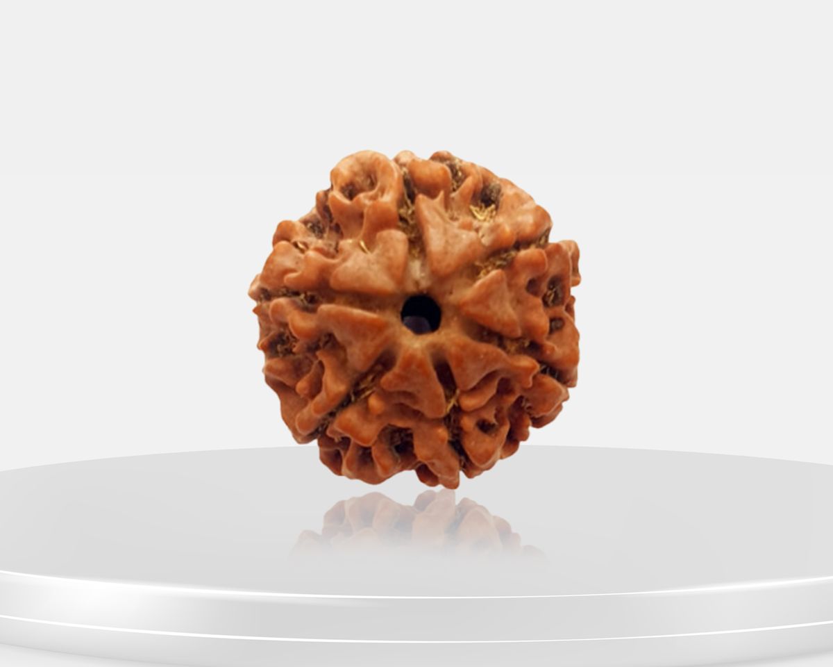 3 Mukhi
