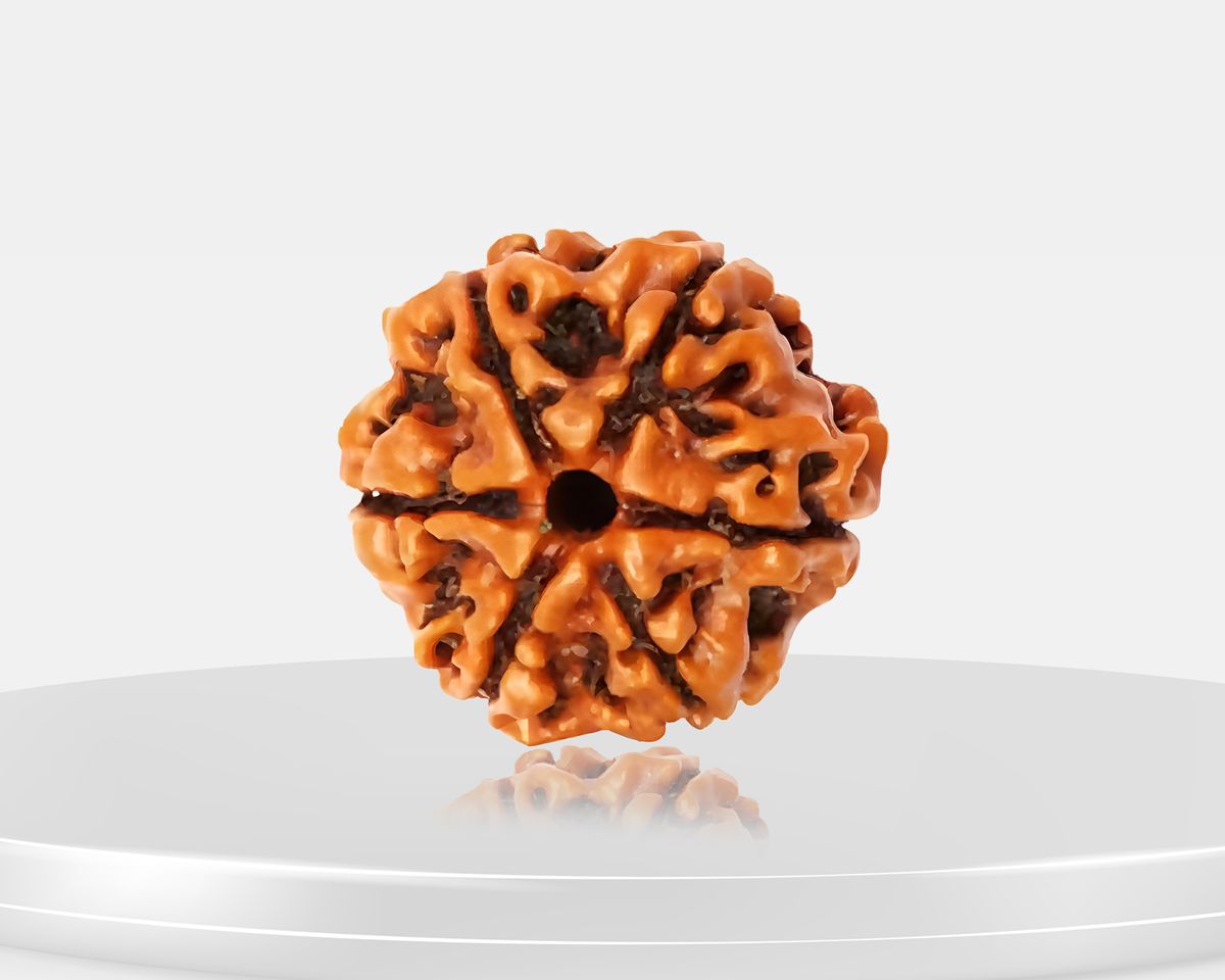 6 Mukhi