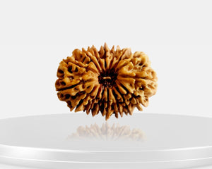 16 Mukhi