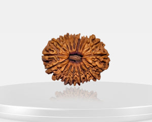 18 Mukhi