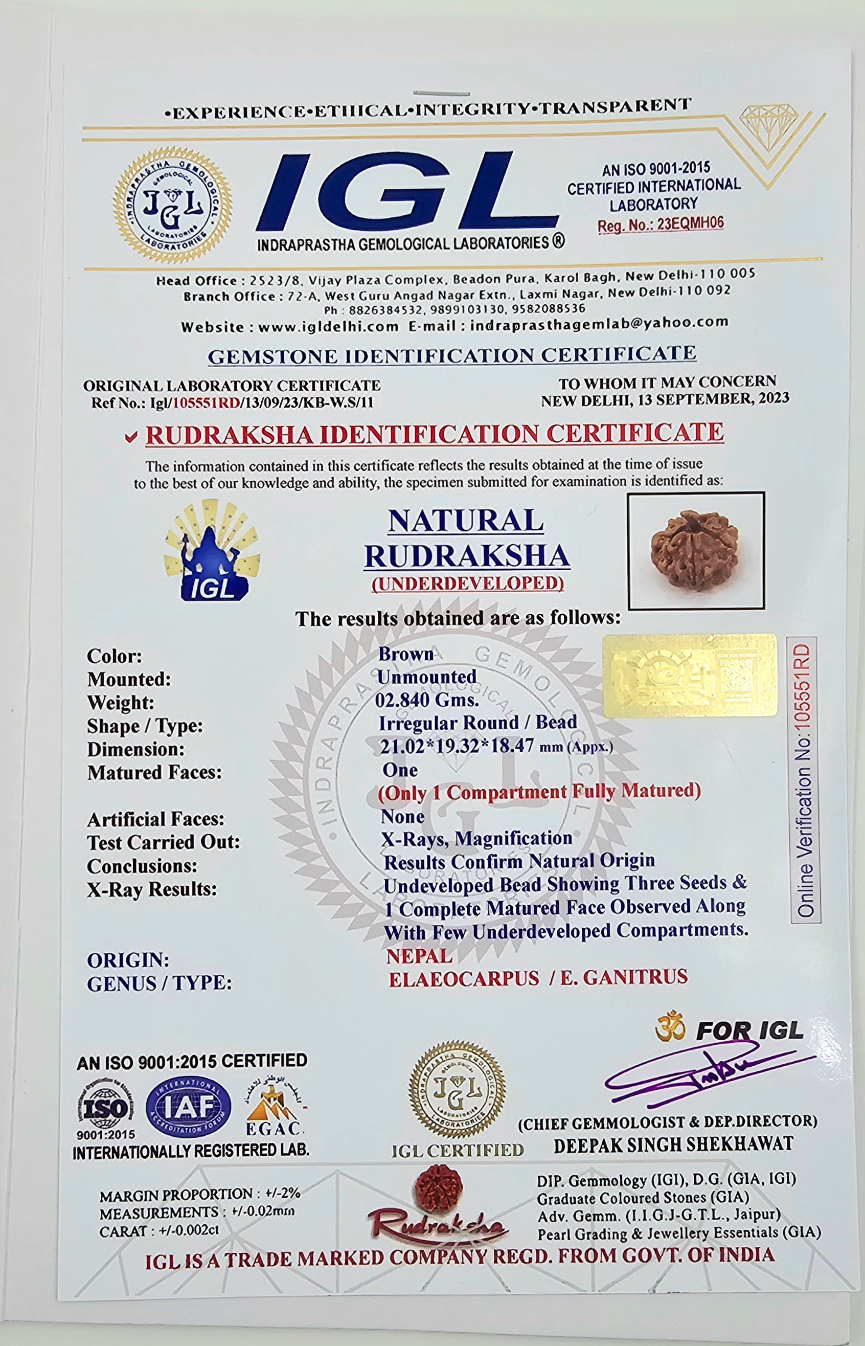 1 Mukhi Rudraksha GOL Dana