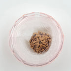 1 Mukhi Rudraksha GOL Dana