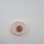 1 Mukhi Rudraksha GOL Dana