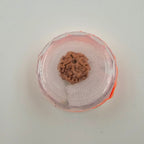 1 Mukhi Rudraksha GOL