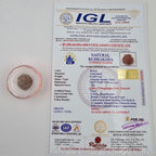 1 Mukhi Rudraksha GOL