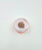 1 Mukhi Rudraksha GOL