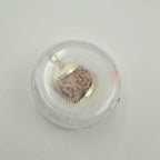1 Mukhi Rudraksha GOL Dana