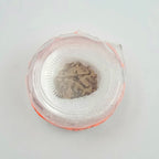 1 Mukhi Rudraksha GOL Dana