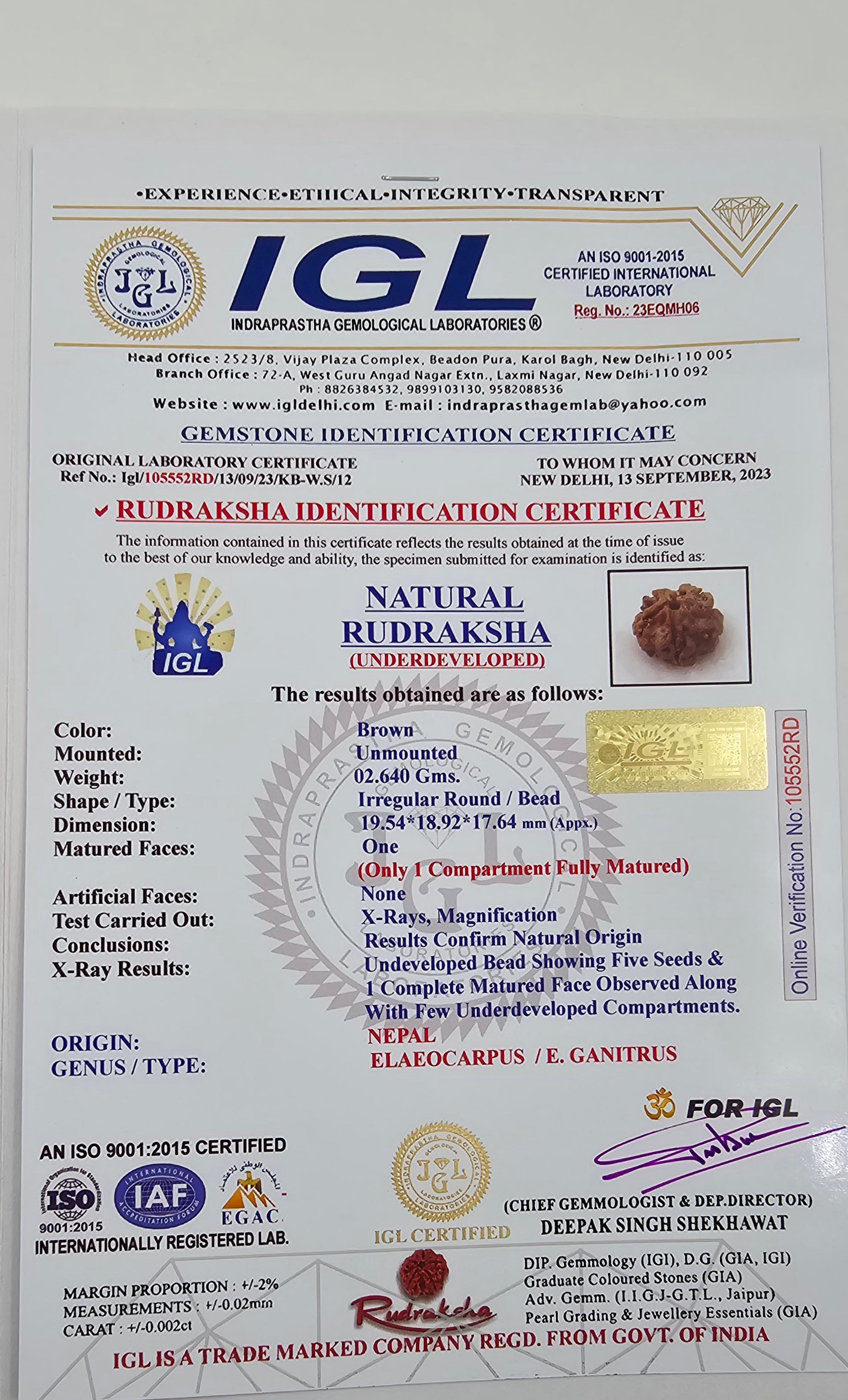 1 Mukhi Rudraksha GOL Dana