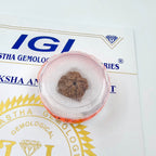 1 Mukhi Rudraksha GOL Dana