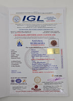 1 Mukhi Rudraksha GOL Dana