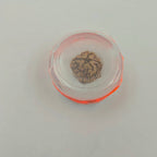 1 Mukhi Rudraksha GOL Dana