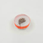 1 Mukhi Rudraksha GOL Dana