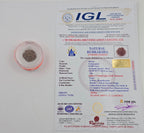 1 Mukhi Rudraksha GOL Dana