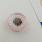 1 Mukhi Rudraksha GOL Dana