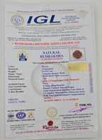1 Mukhi Rudraksha GOL Dana