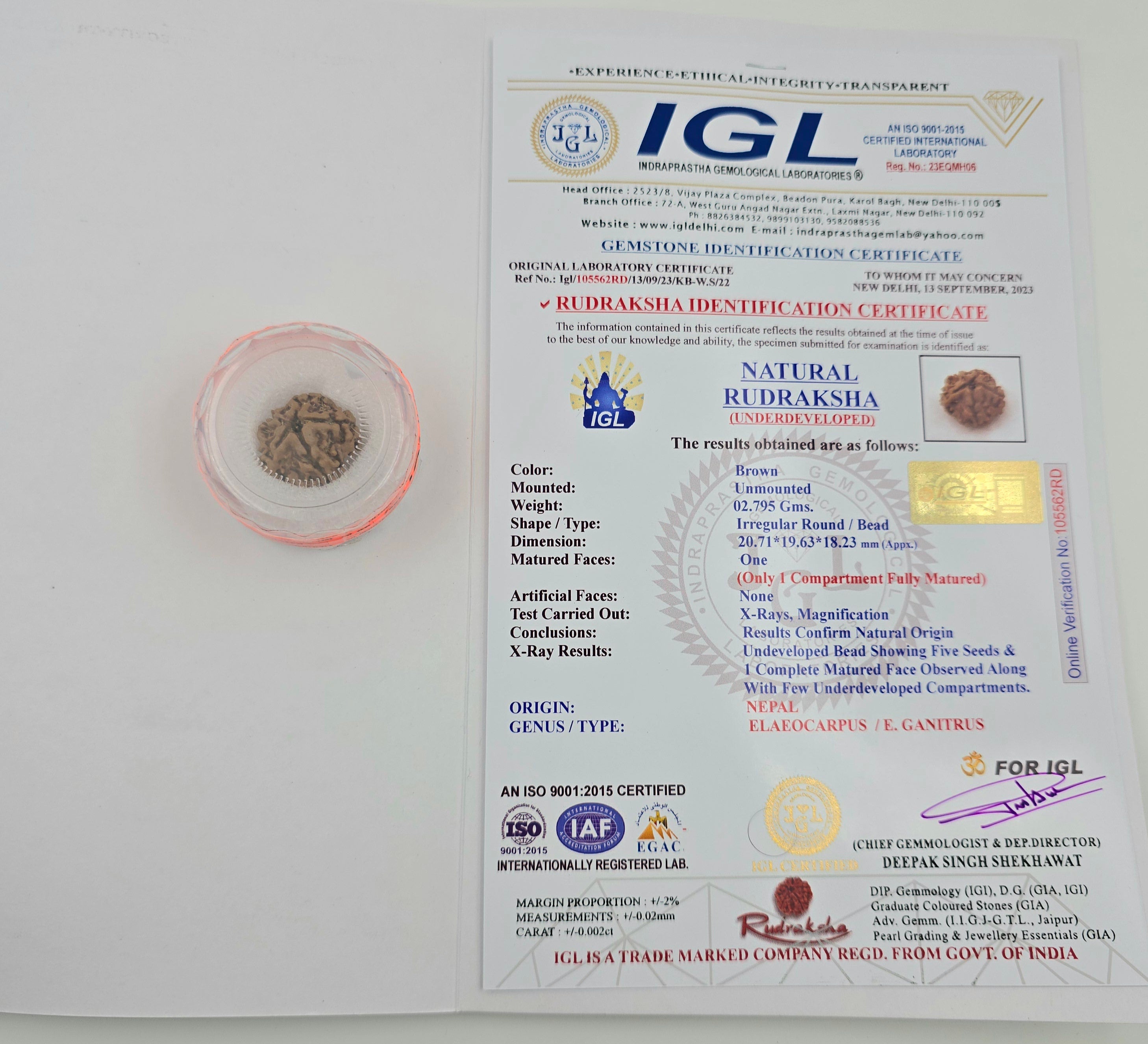 1 Mukhi Rudraksha GOL Dana