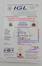 1 Mukhi Rudraksha GOL Dana