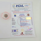 1 Mukhi Rudraksha GOL Dana