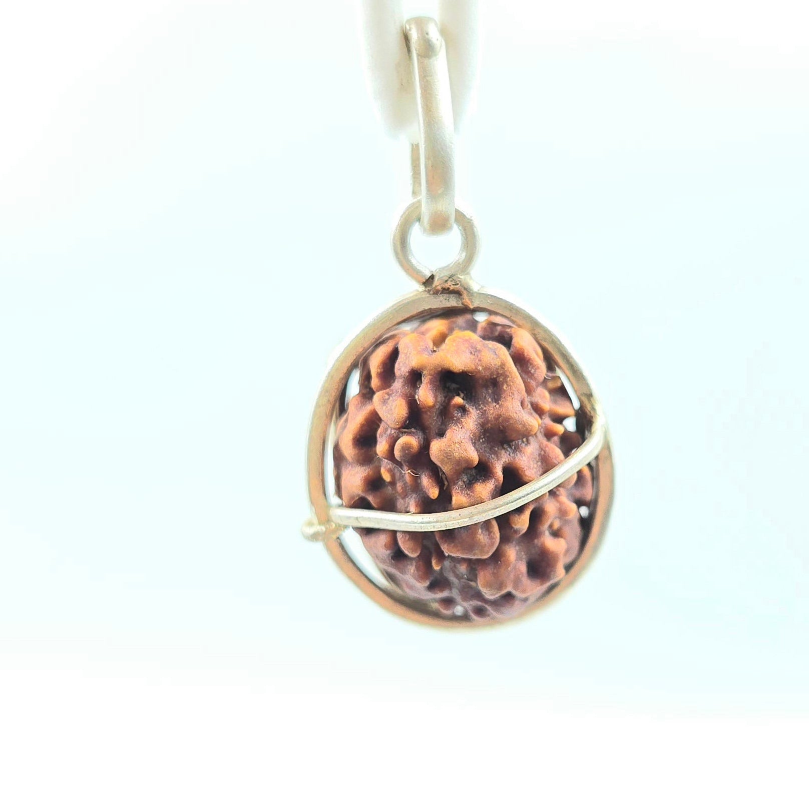 1 Mukhi Rudraksha GOL Dana