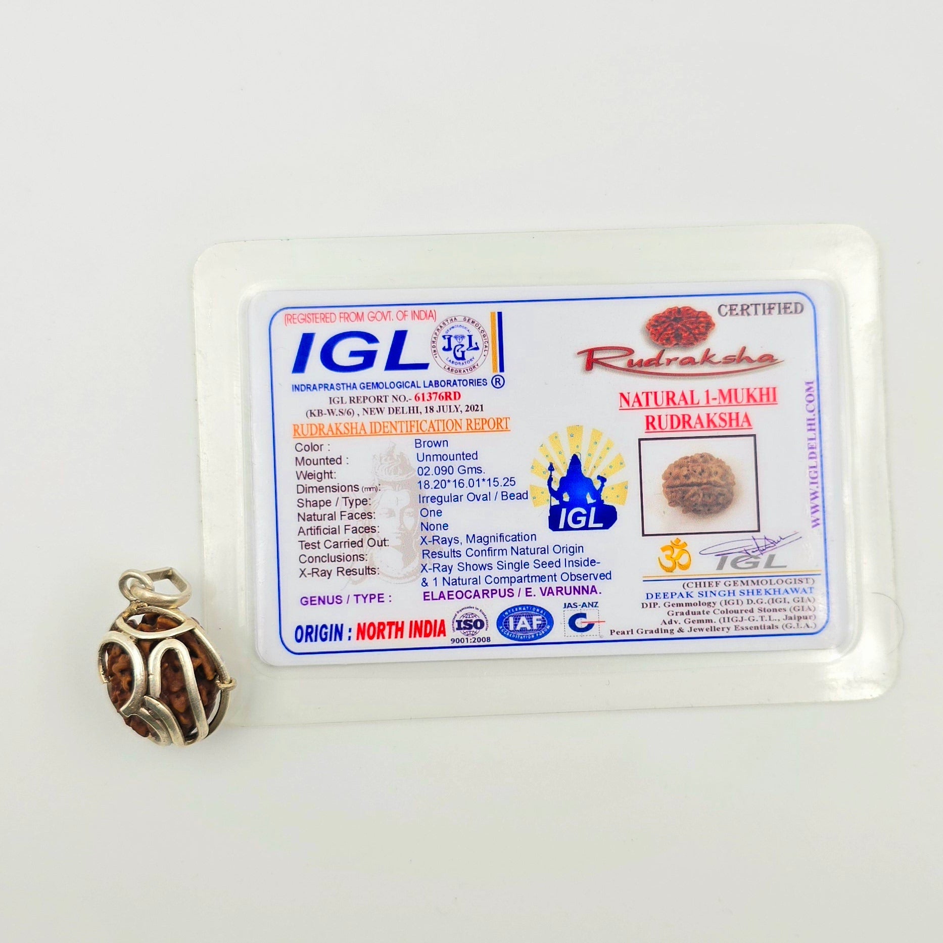 1 Mukhi Rudraksha GOL Dana