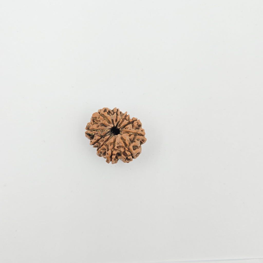 10-Mukhi