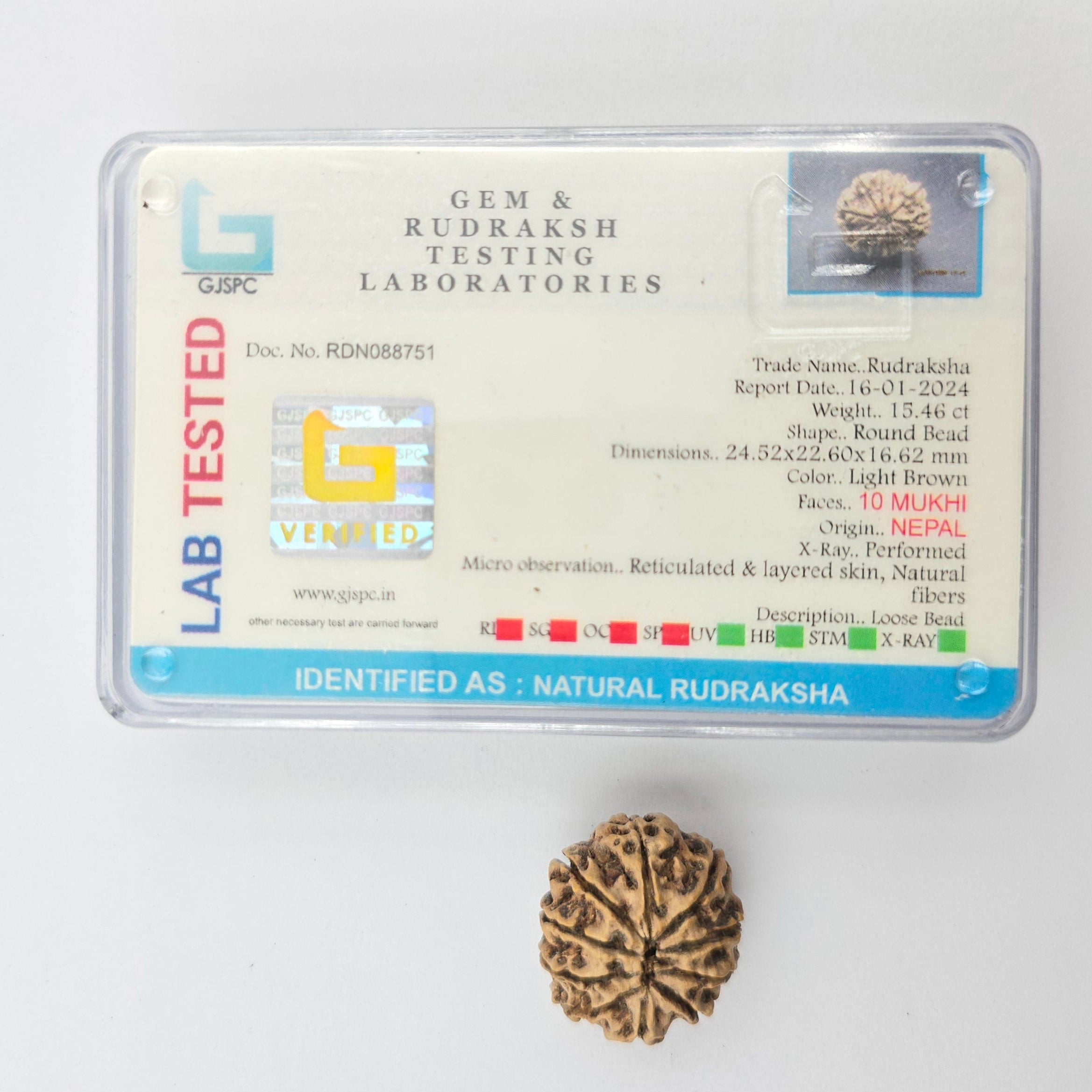 10-Mukhi