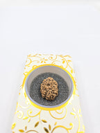 10-Mukhi