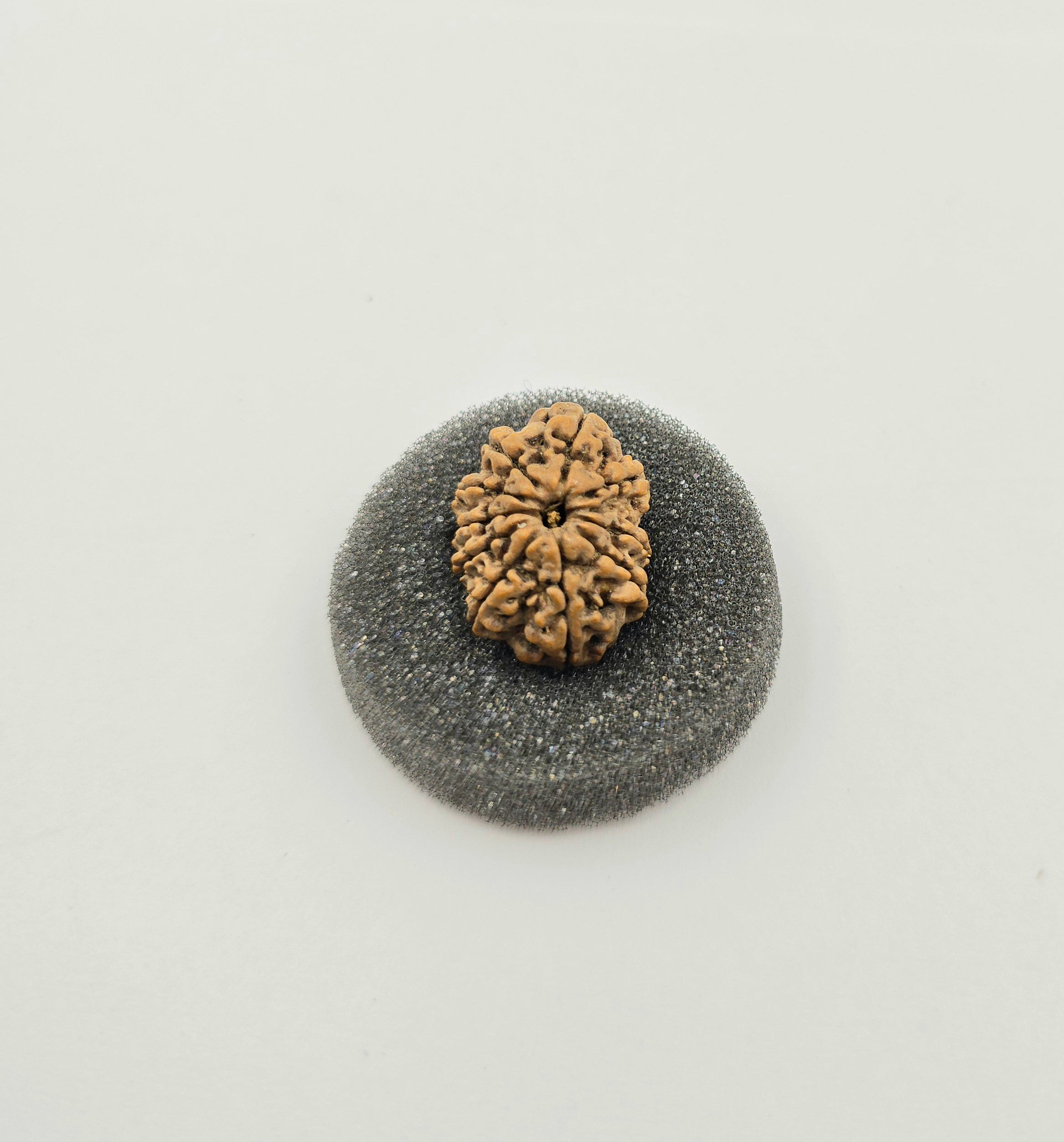 10-Mukhi