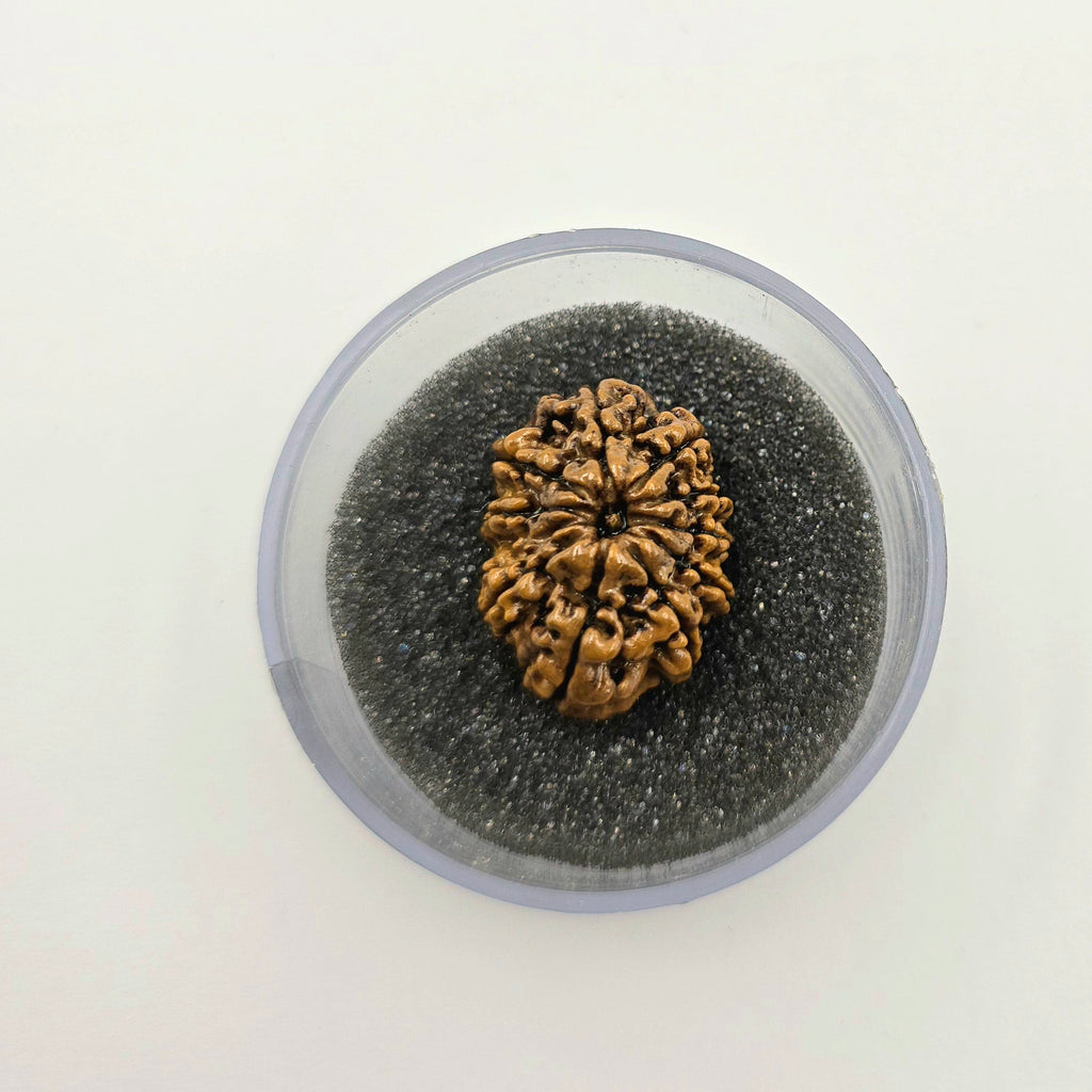 10-Mukhi