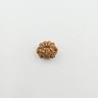 10-Mukhi