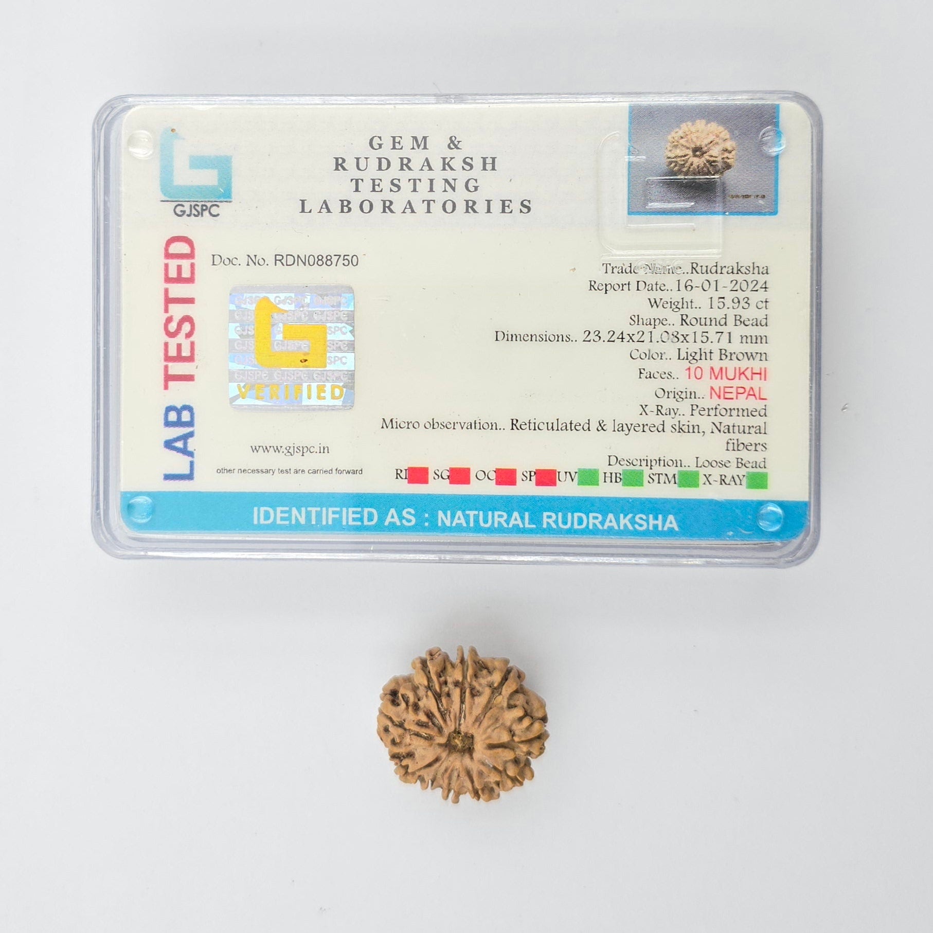 10-Mukhi
