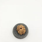 10-Mukhi