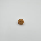 10-Mukhi