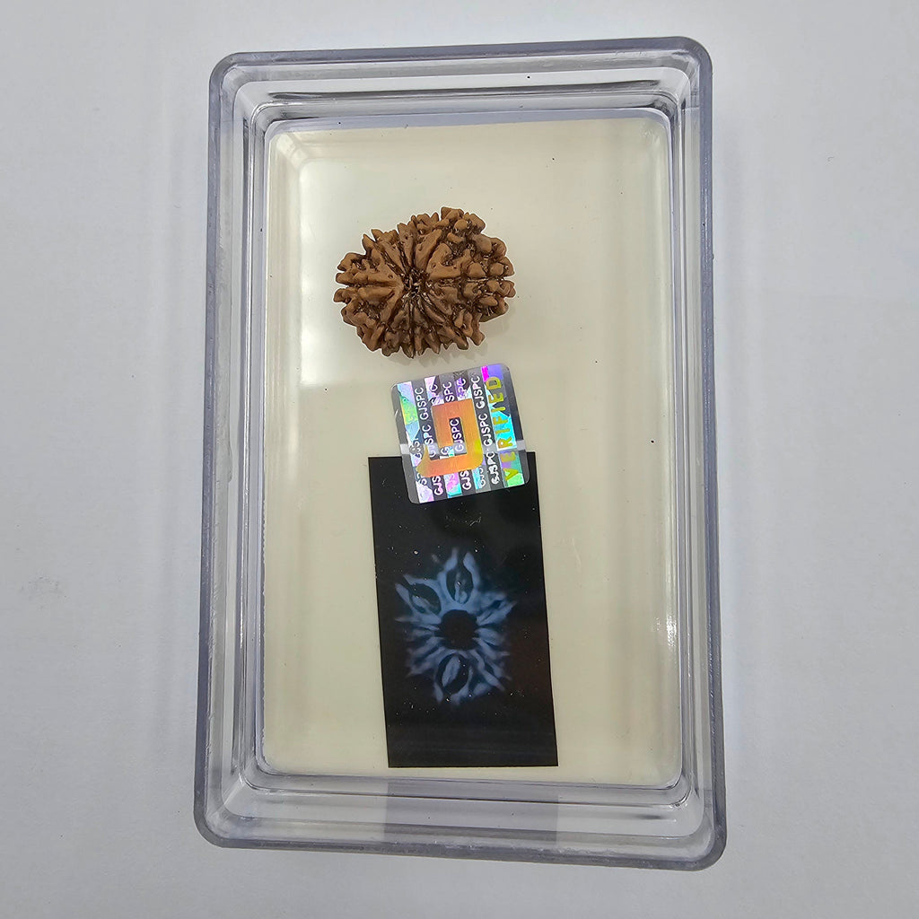 10-Mukhi