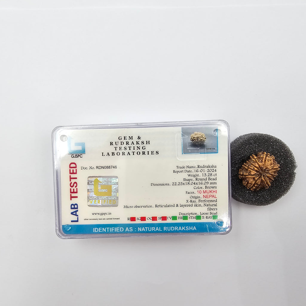 10-Mukhi