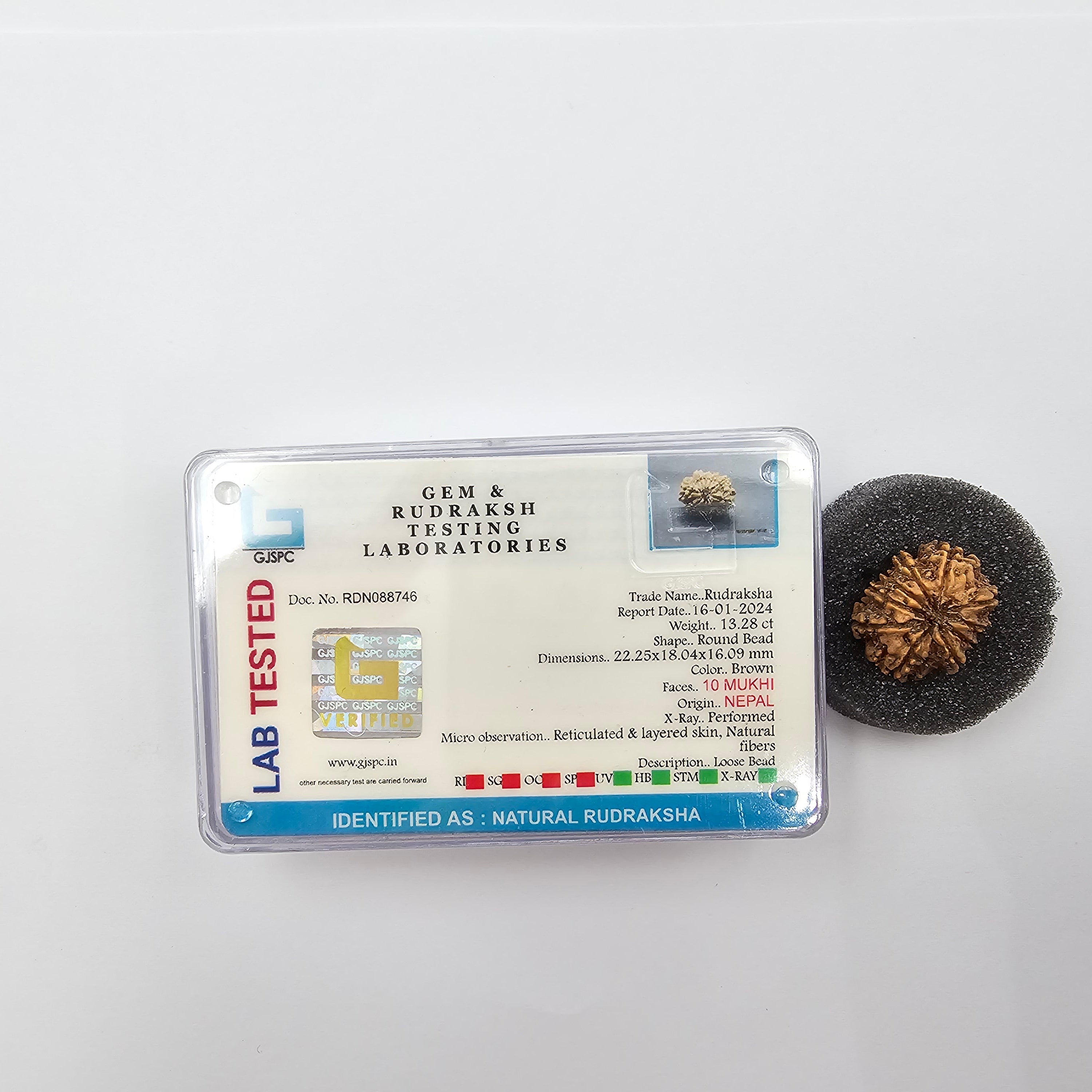 10-Mukhi