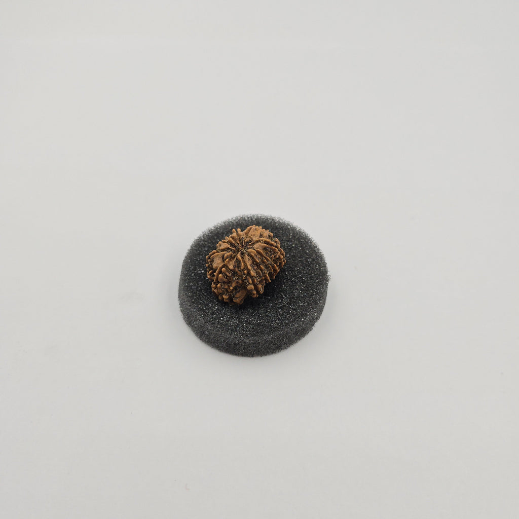 10-Mukhi