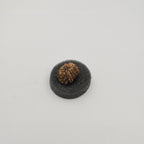10-Mukhi