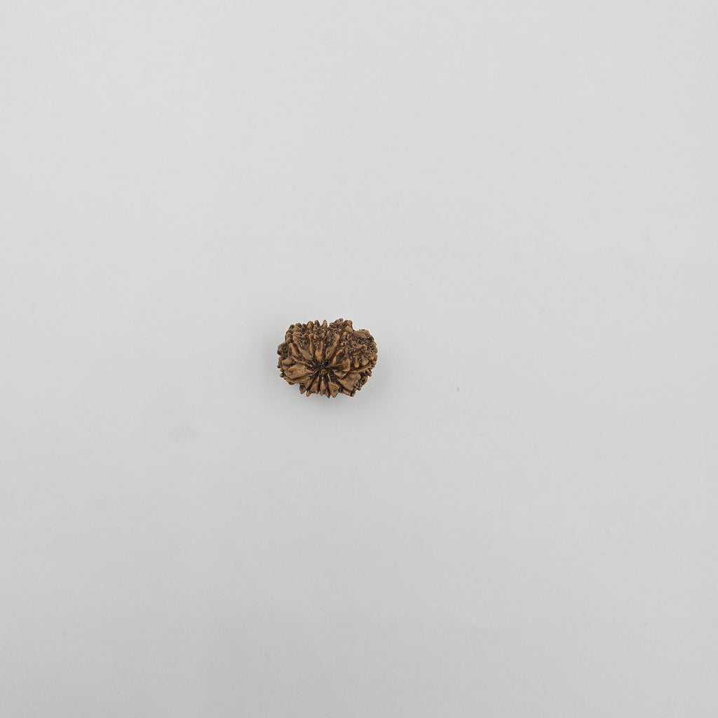 10-Mukhi