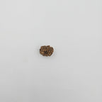 10-Mukhi