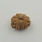 10-Mukhi