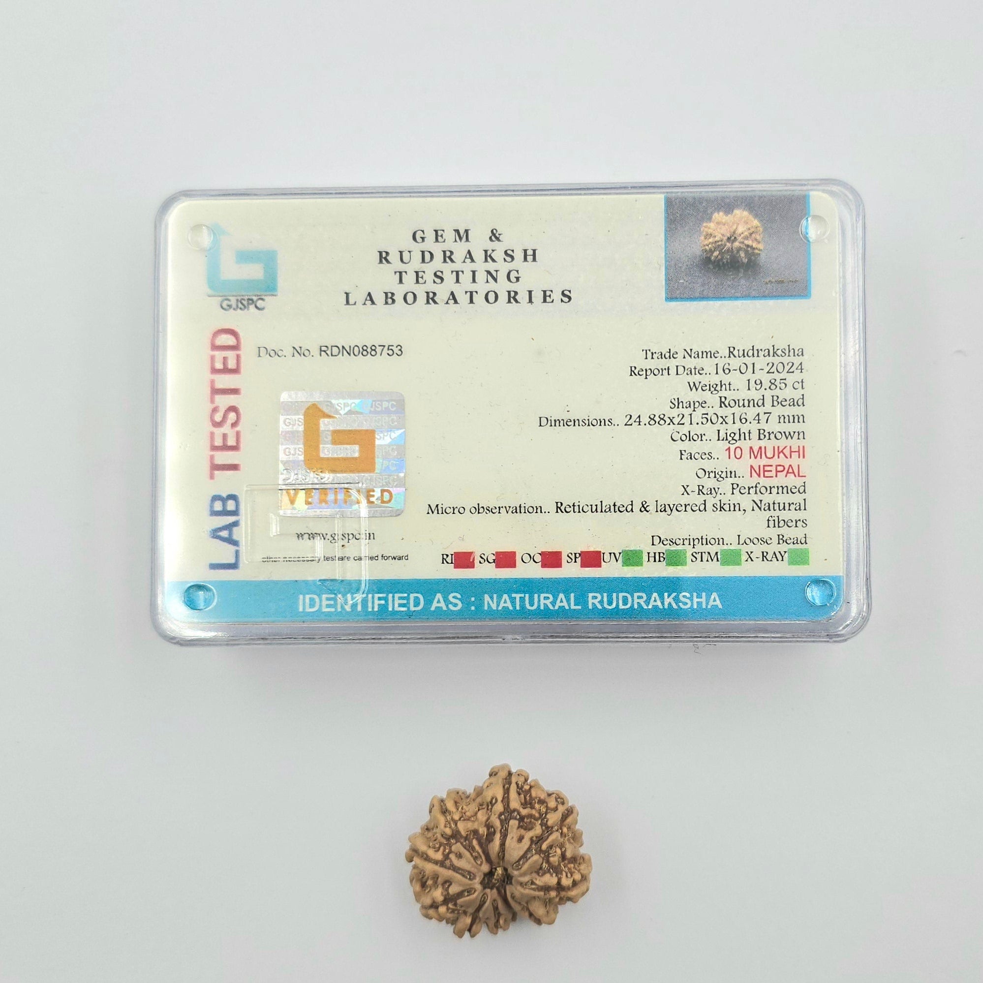 10-Mukhi