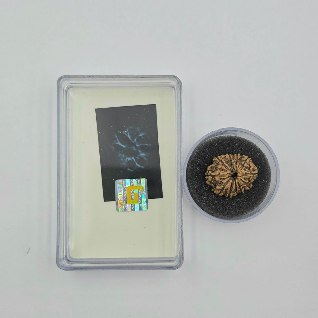 10-Mukhi