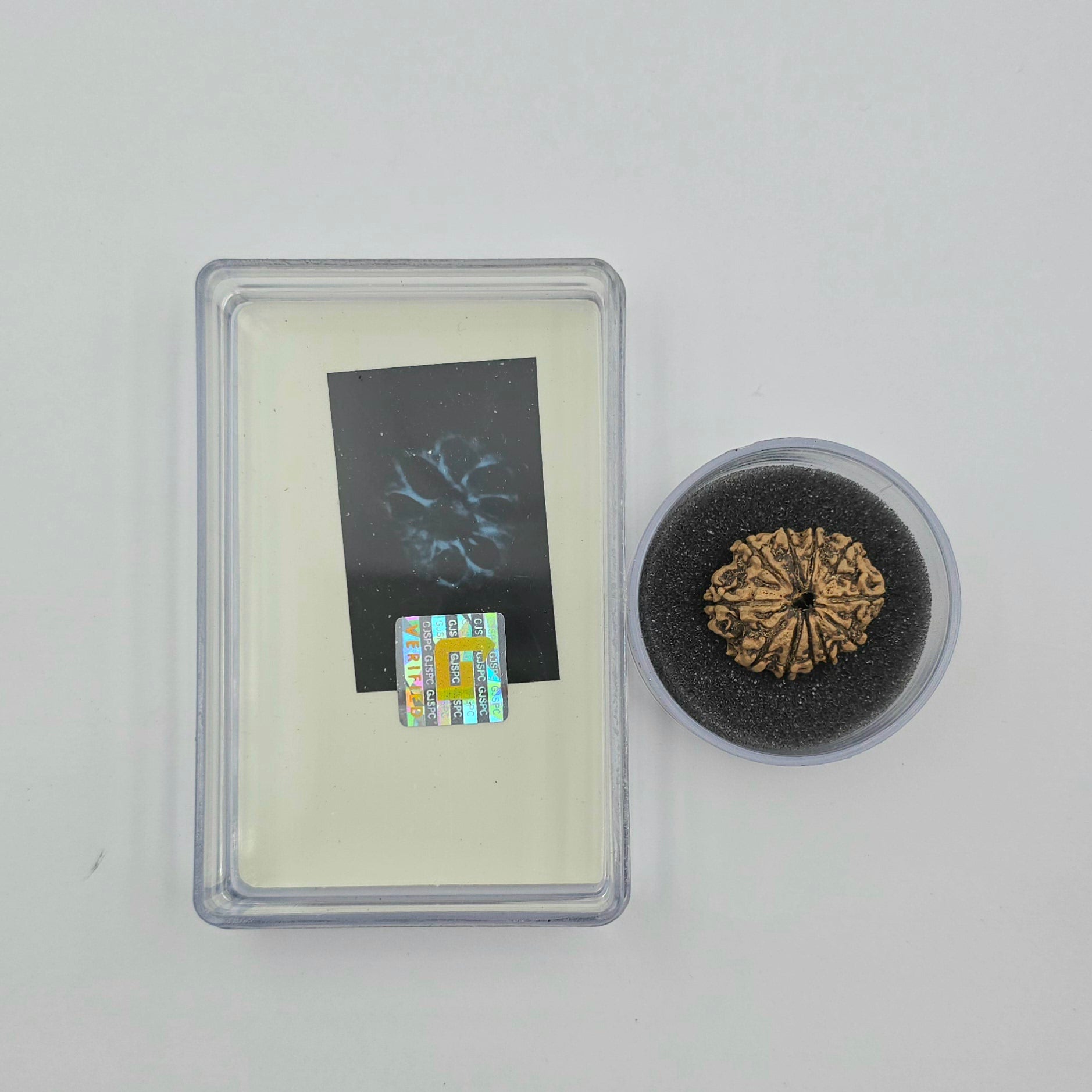 10-Mukhi