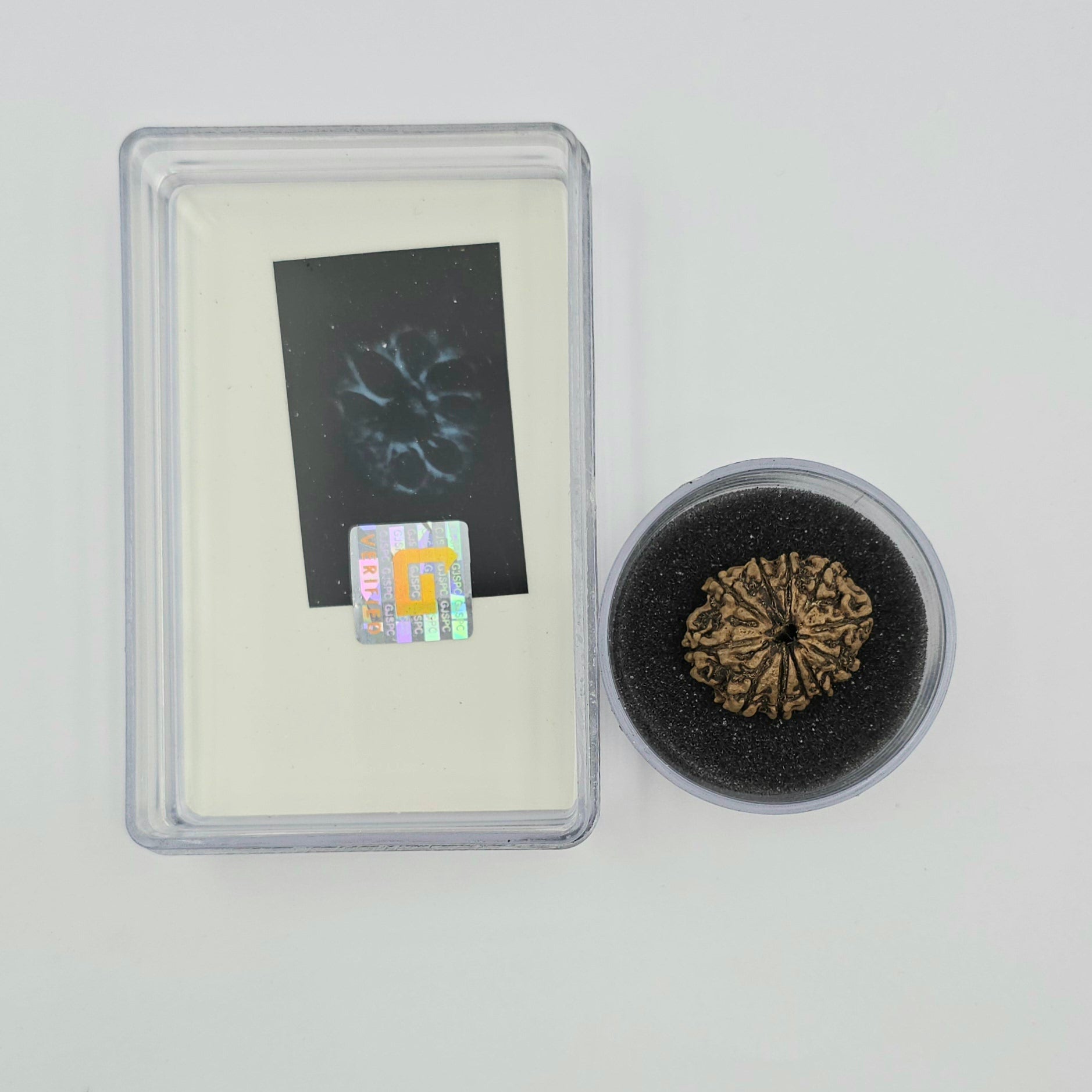 10-Mukhi