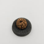 10-Mukhi